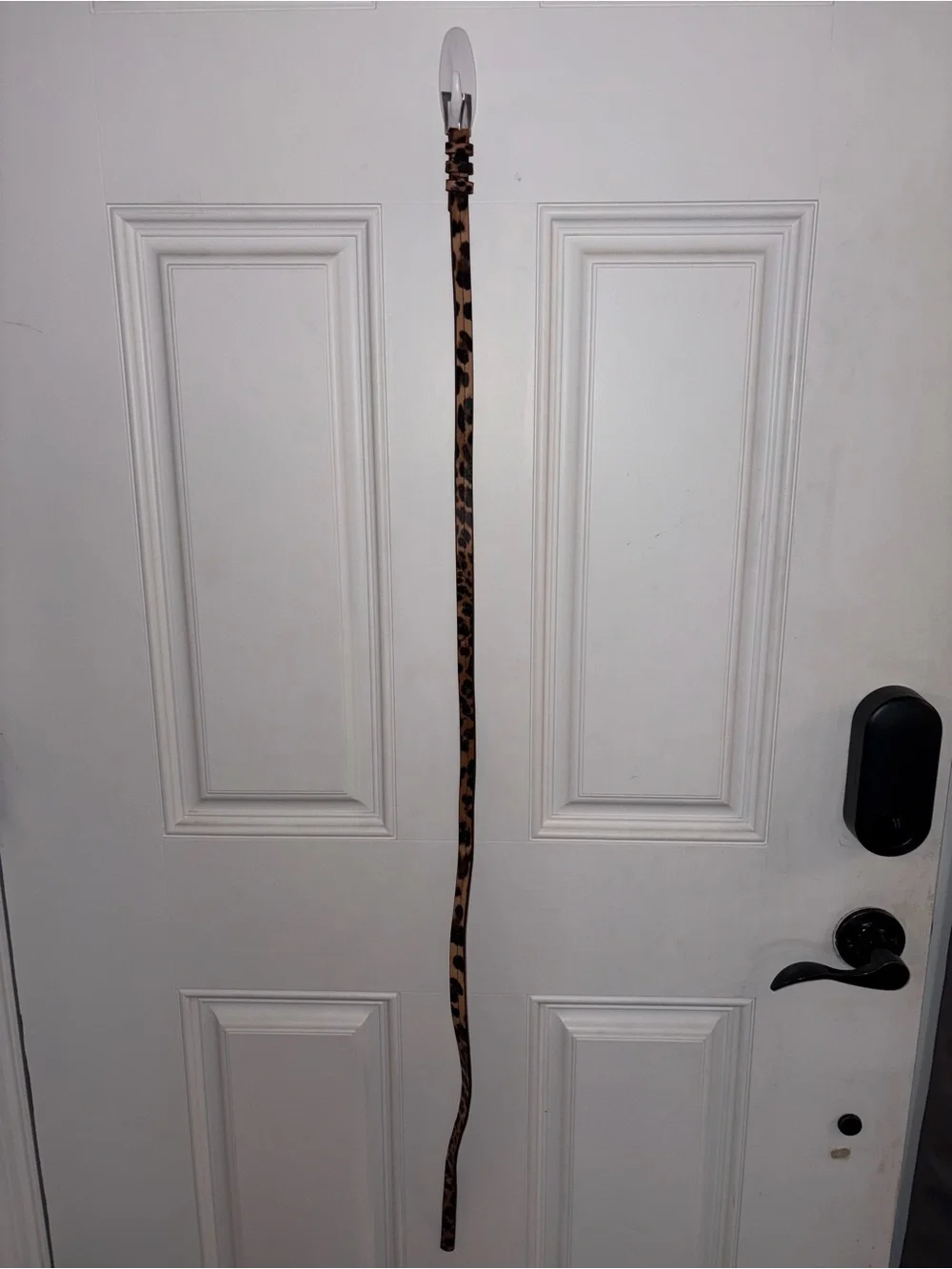 Leopard Print Skinny Women's Belt - Brown/Black